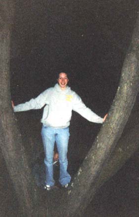 tree_erin4.jpg